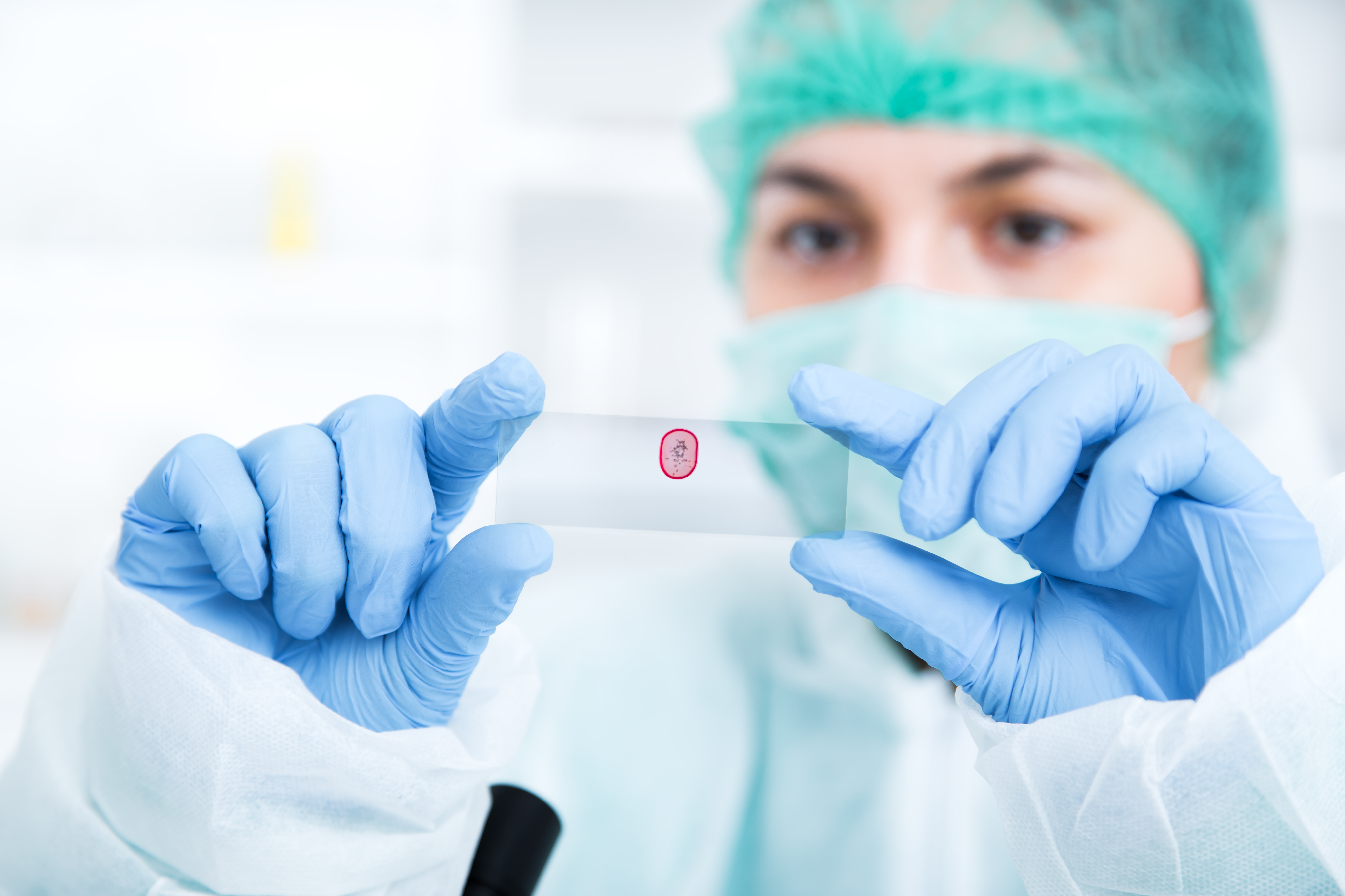 shutterstock_403849918